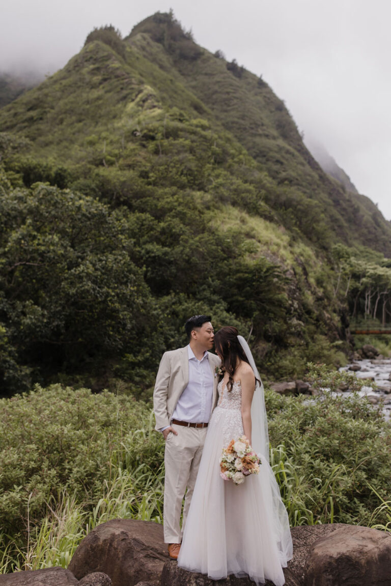 Intimate Wailea Wedding – Lulu & Steven